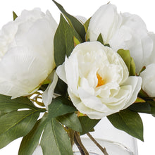 Cream peony blooms and brown stems in the clear Classic glass bowl, seen at close range