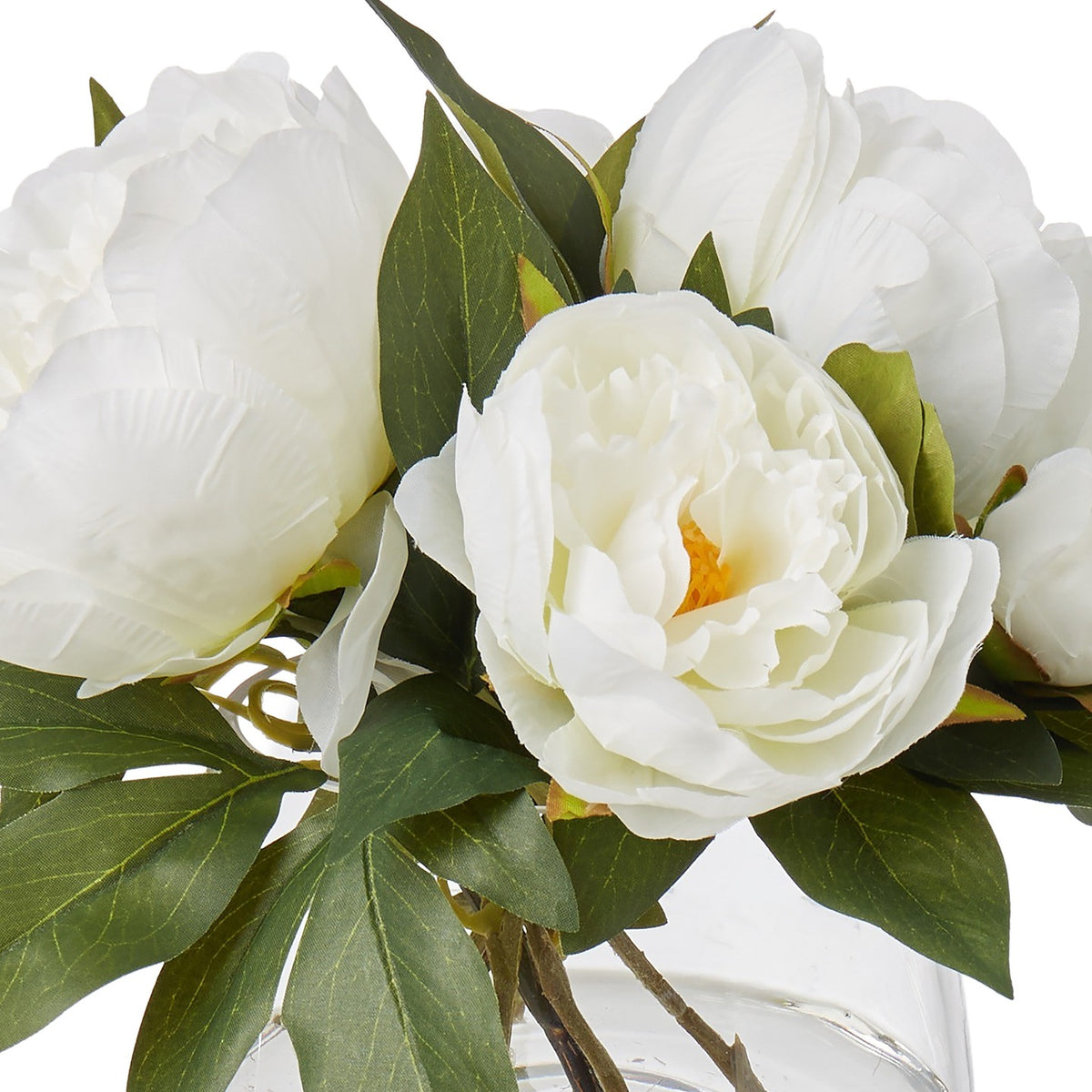 Cream peony blooms and brown stems in the clear Classic glass bowl, seen at close range