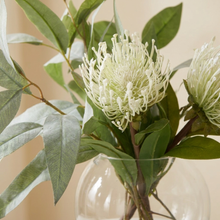 Close-up of the cream pincushion bloom and refractions in the Sphere glass vase.