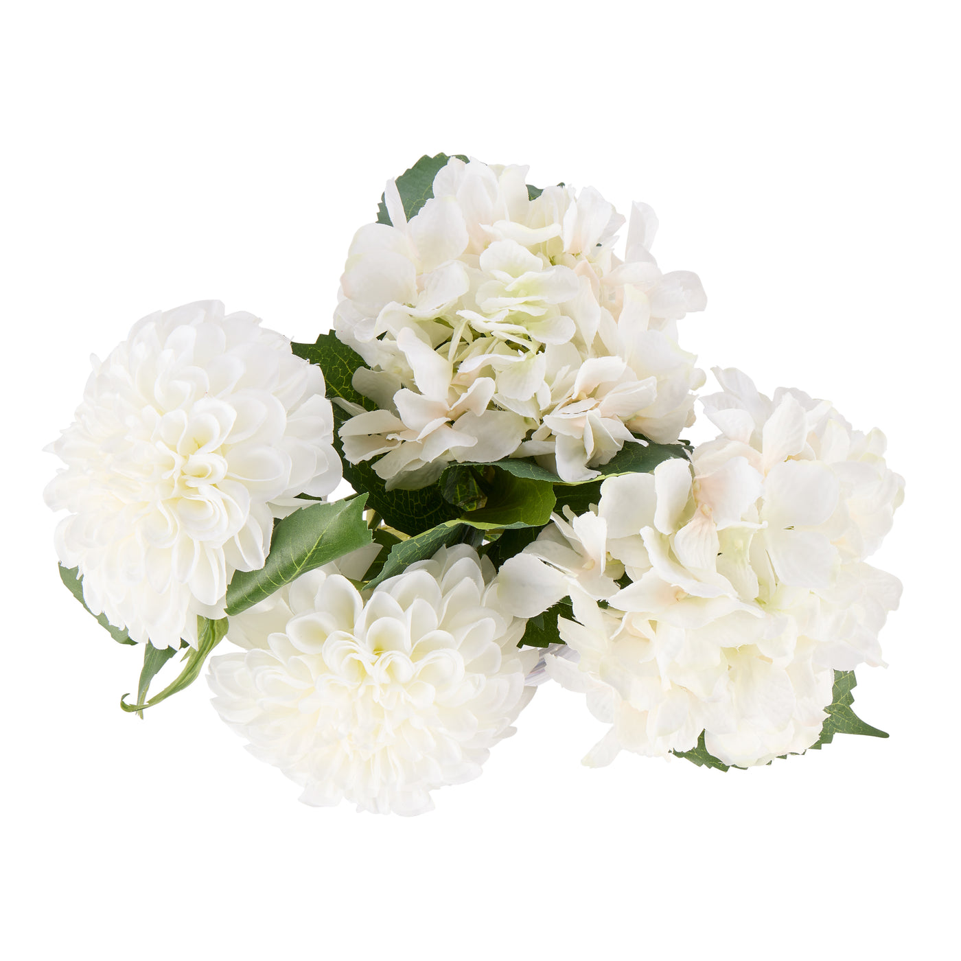 White chrysanthemum and hydrangea blooms with green leaves – overhead view