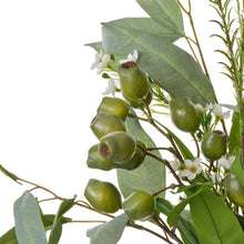 Green gum nuts and eucalyptus leaves with white wax flowers — native foliage detail