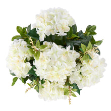 White hydrangea cluster with cream berry sprigs – overhead detail