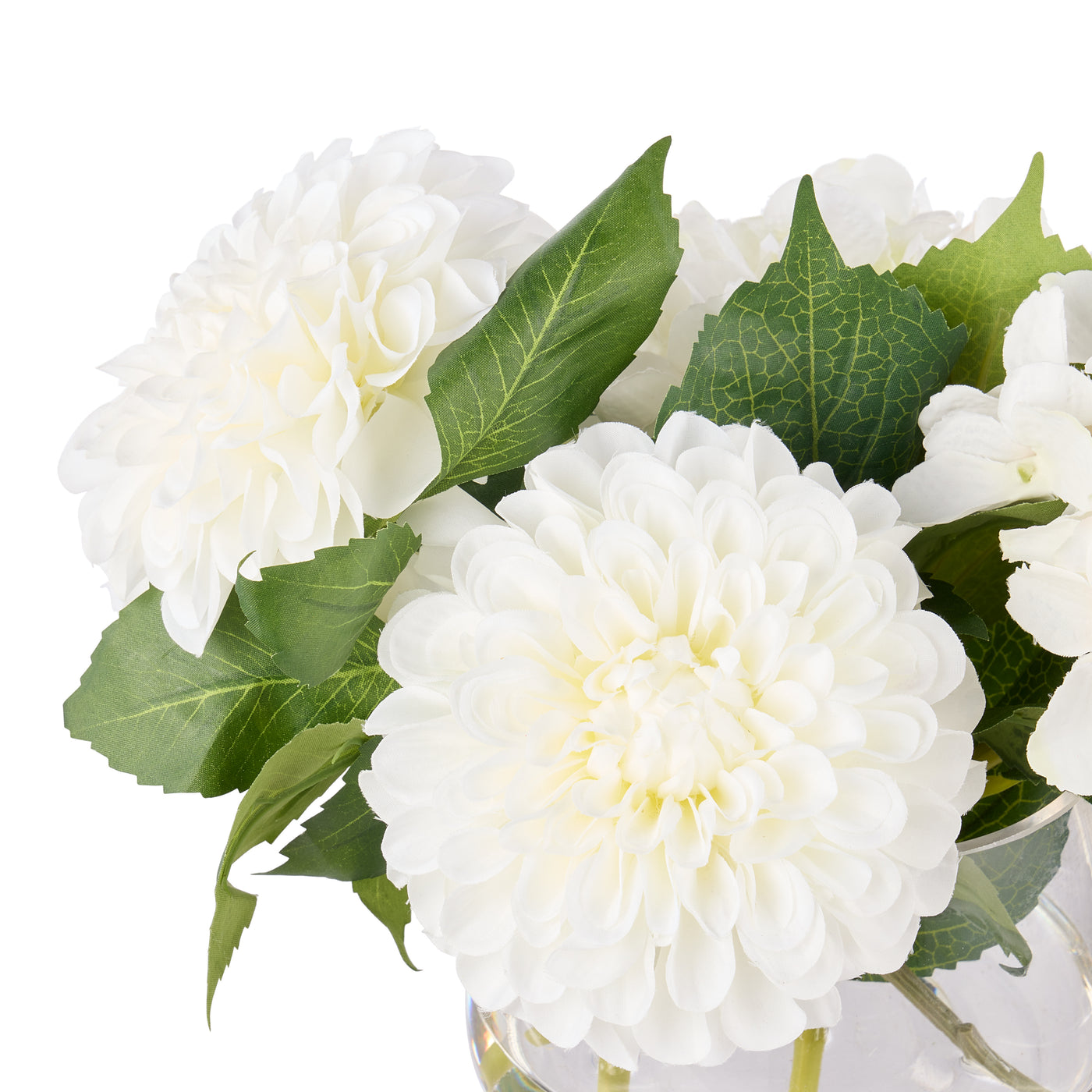 White chrysanthemum bloom close-up with hydrangea and green foliage