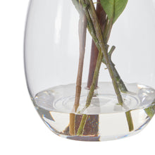 Clear glass Claire vase base with stems — native arrangement detail